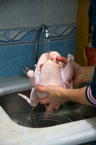 chicken shower rinse chicken